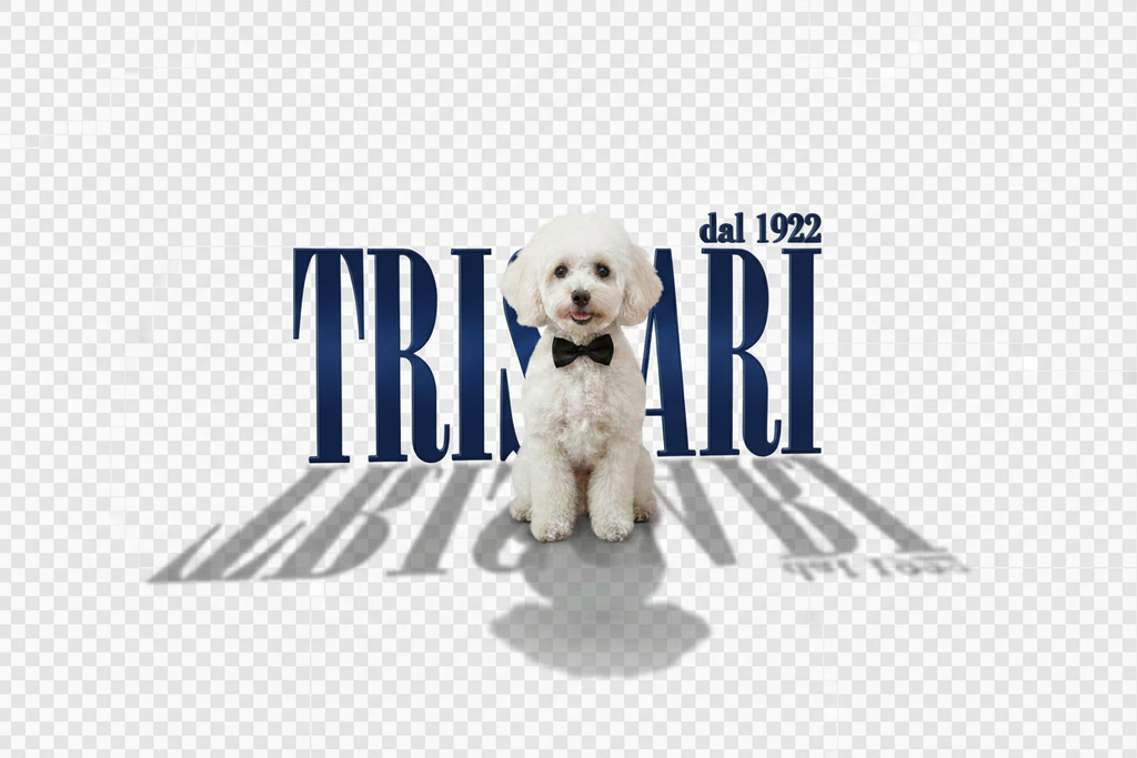 Logo Triscari blu navy migliorato