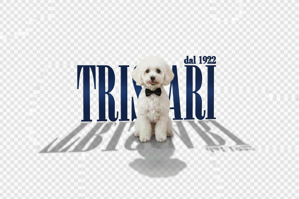 Logo Triscari blu navy migliorato