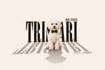 Triscari 1922 – Home